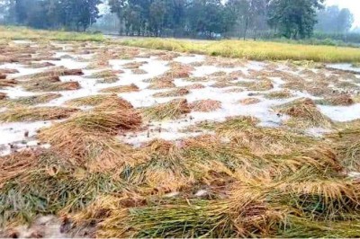 उत्तर प्रदेश में फसलों की बर्बादी पर सिर्फ 19 हजार किसानों को मिलेगा मुआवजा