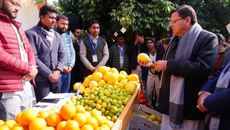 राज्य में माल्टा, सेब, नाशपाती, कीवी, अखरोट, आड़ू और नींबू वर्गीय फलों के बागान स्थापित करने की दिशा में कार्य किए जा रहे हैं