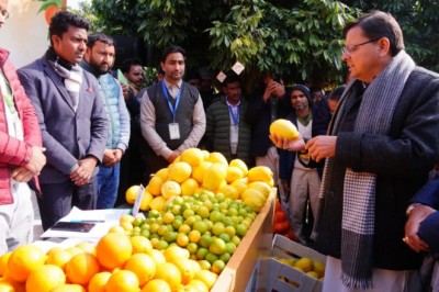 राज्य में माल्टा, सेब, नाशपाती, कीवी, अखरोट, आड़ू और नींबू वर्गीय फलों के बागान स्थापित करने की दिशा में कार्य किए जा रहे हैं