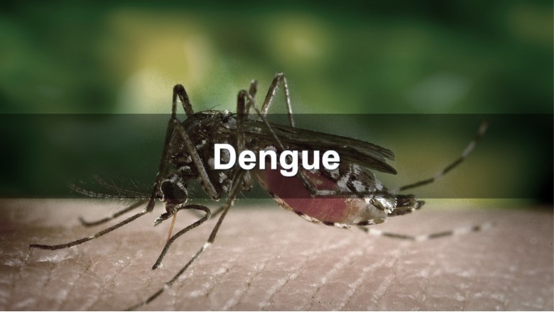 Dengue Attack: उत्तराखंड में डेंगू मरीजों का आंकड़ा एक हजार पार