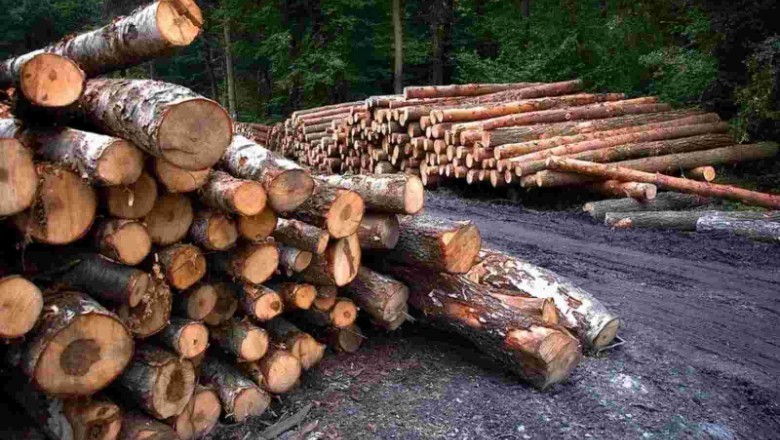 Assam: लकड़ी की तस्करी को लेकर असम-मेघालय सीमा पर भड़की हिंसा, वन रक्षक समेत छह लोगों की दर्दनाक मौत