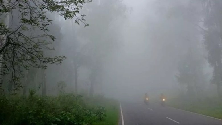 पश्चिमी यूपी में घने कोहरे ने बढ़ाई ठंड, अगले दो दिन और सताएगी सर्दी