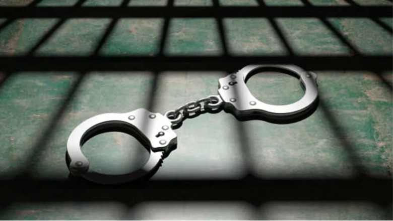 बीएसएफ ने पकड़ा पाकिस्तानी घुसपैठिया, नदाबेट सीमा से भारतीय क्षेत्र में घुसने की कर रहा था प्रयास