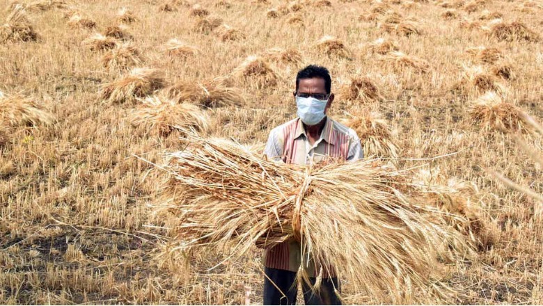 यूपी के 33 हजार से ज्यादा किसानों का कर्ज माफ, बकाए बिजली बिल में भी राहत