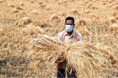 यूपी के 33 हजार से ज्यादा किसानों का कर्ज माफ, बकाए बिजली बिल में भी राहत