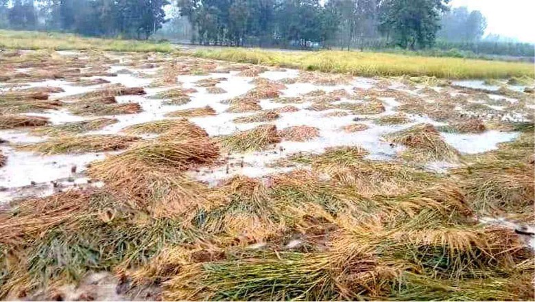 उत्तर प्रदेश में फसलों की बर्बादी पर सिर्फ 19 हजार किसानों को मिलेगा मुआवजा